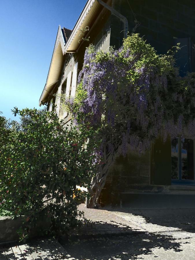 Bed and Breakfast Domaine De Monein Сент-Андре-де-Кюбзак Екстер'єр фото